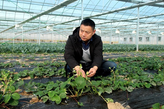 农场主汪启航助力贫困户脱贫