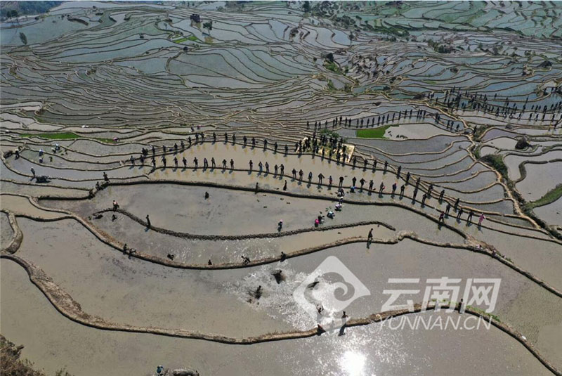 斯里兰卡连环爆炸,目标为何是教堂和酒店_观点