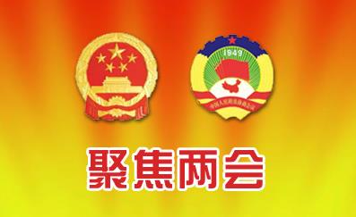 2020全国两会