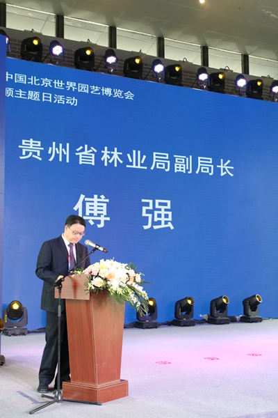 538-1Z516163AcK.jpg