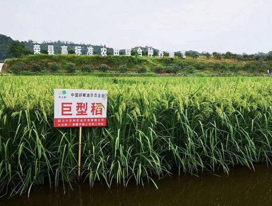 QQ浏览器截图20190903110627.png