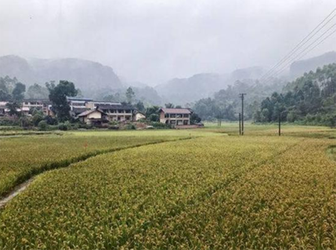 QQ浏览器截图20190903110748.png