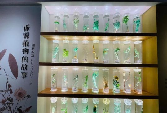 截图20210519150317.jpg