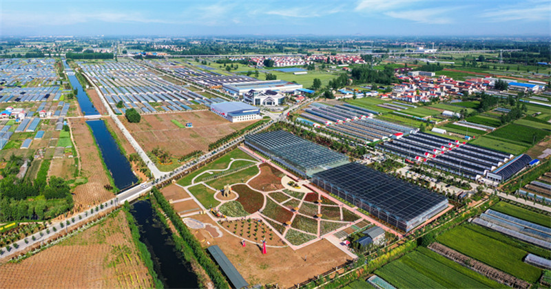 1671514447799112.jpg 图片 1.jpg