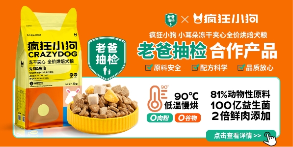春节“它经济”热潮凸显疯狂小狗品质受市场追捧(图2)