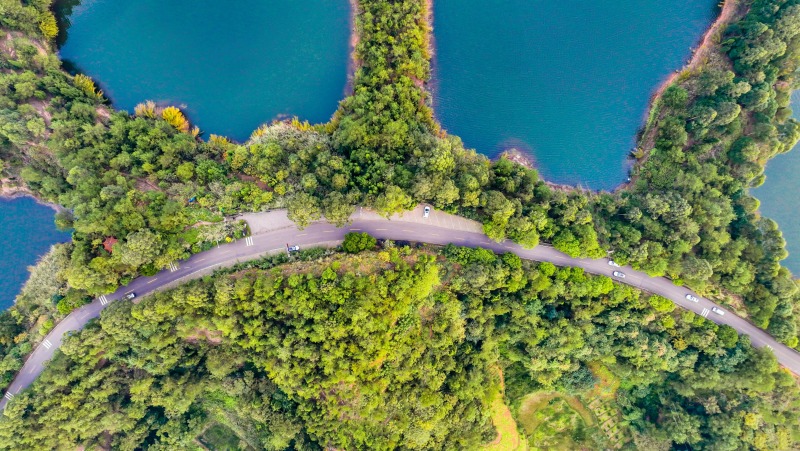 蜿蜒的生态旅游路.jpg