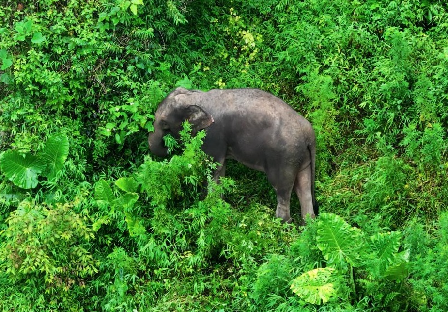 1723444041877648.jpg 图片2.jpg