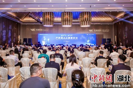 严西湖人工智能论坛在武汉召开