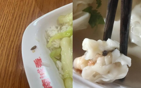 1731048667106817.jpg 333.jpg