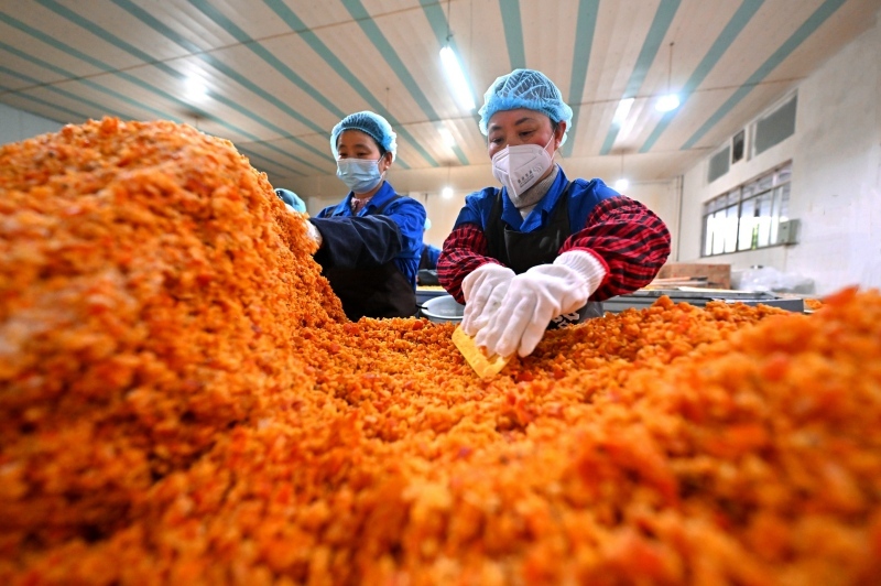 在仁寿县的仁寿江陵食品有限公司生产车间内，工人正忙着对收获的柑橘进行加工，赶制出口订单.jpg