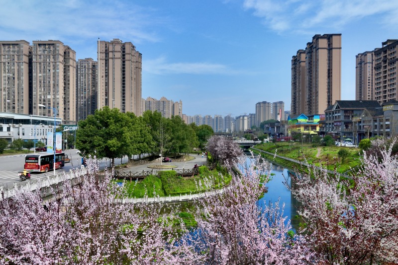 滨河路景观.jpg