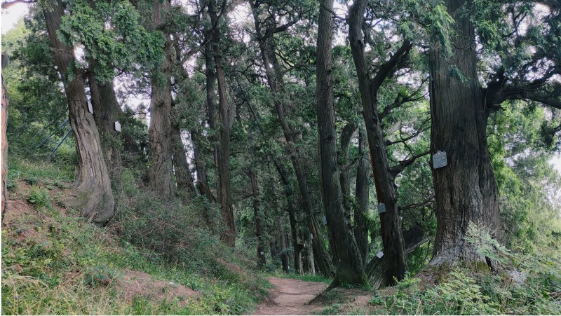 1759124786334644.jpg 图片1.jpg