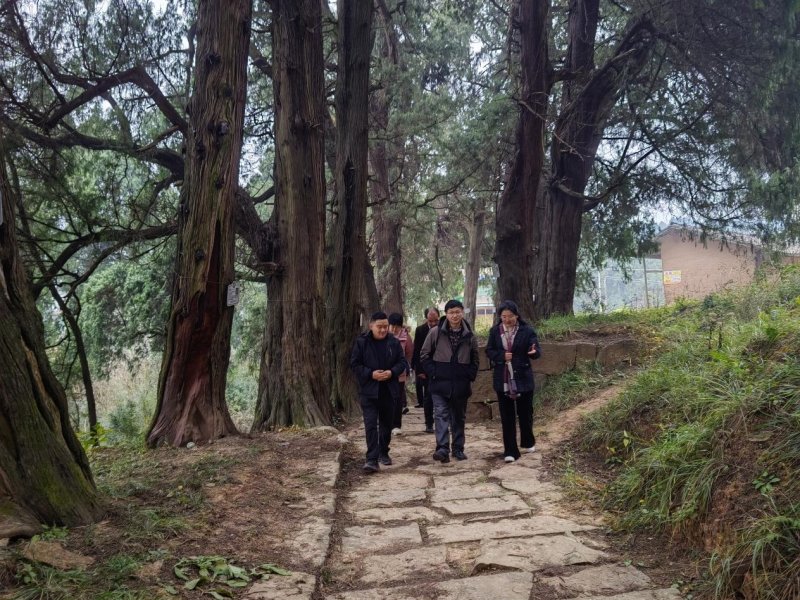 1765269067898524.jpg 图片1.jpg