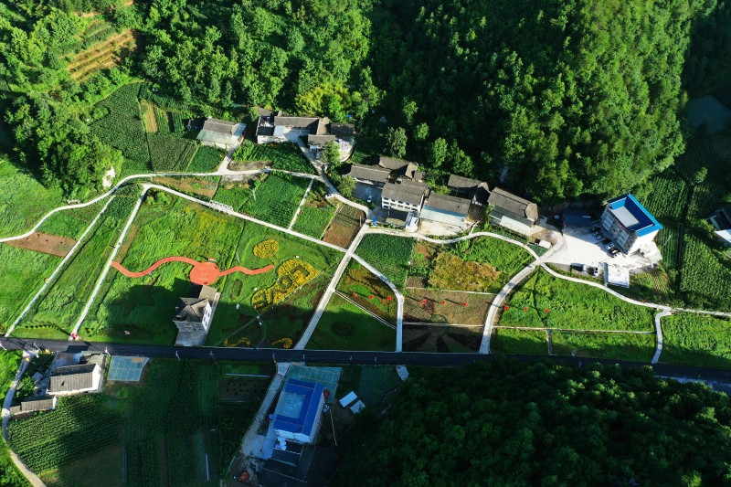 1765520288562986.jpg 图片2.jpg