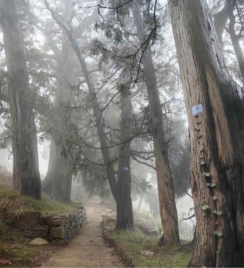 1767604366453190.jpg 图片1.jpg