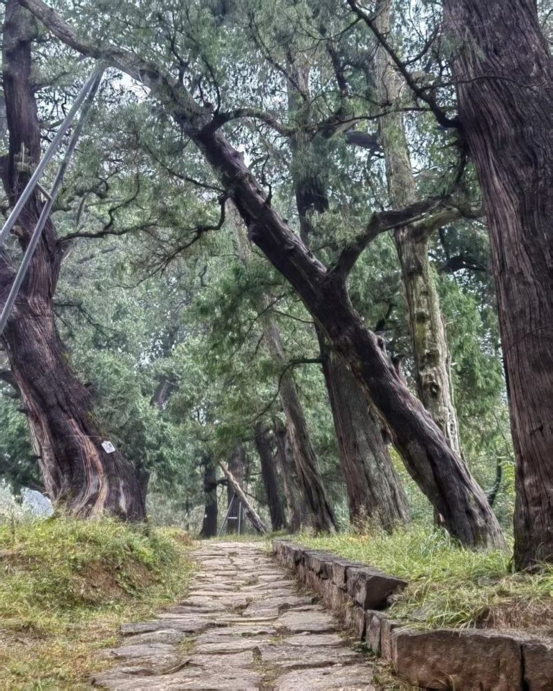 1767604370137444.jpg 图片2.jpg