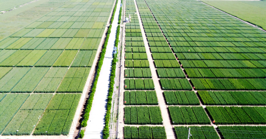 1767607110899324.png 640.png