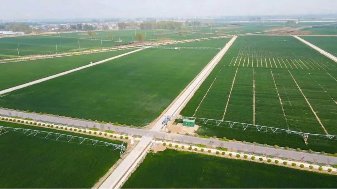 1767607230975512.jpg 640 (1).jpg