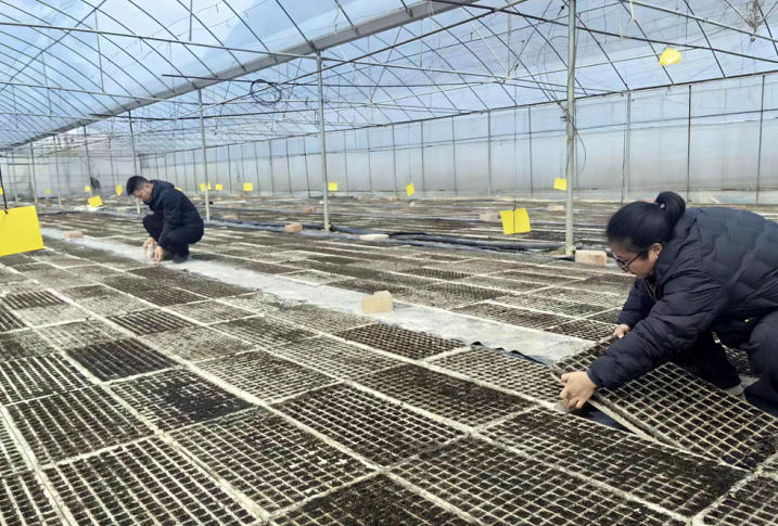 1770185125139672.jpg ScreenShot_2026-02-04_140510_373.jpg