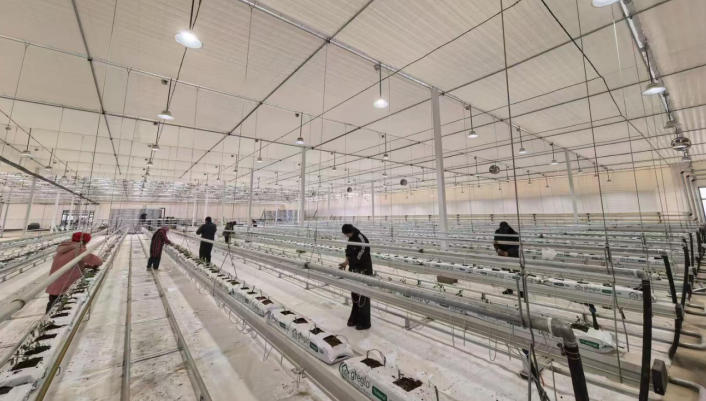 1772604922239297.jpg ScreenShot_2026-03-04_141147_327.jpg