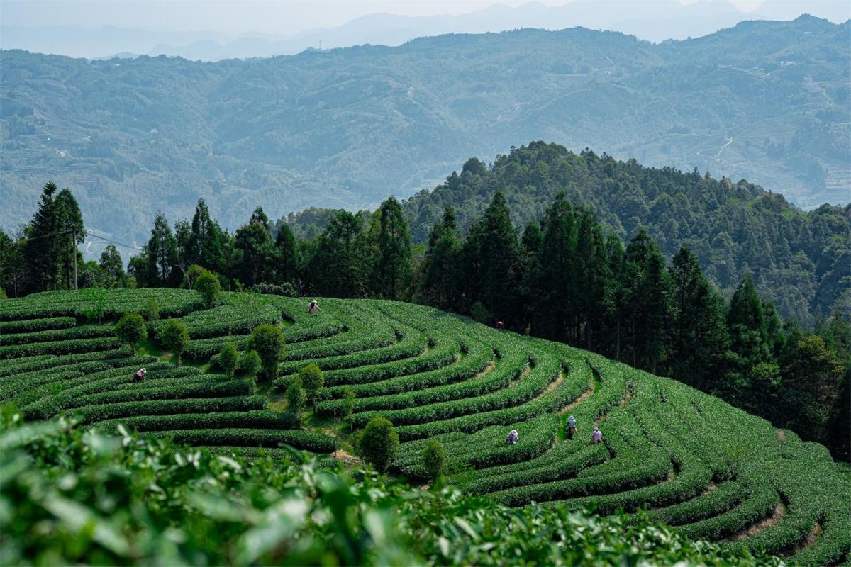 1773211965776047.jpeg image10.jpeg