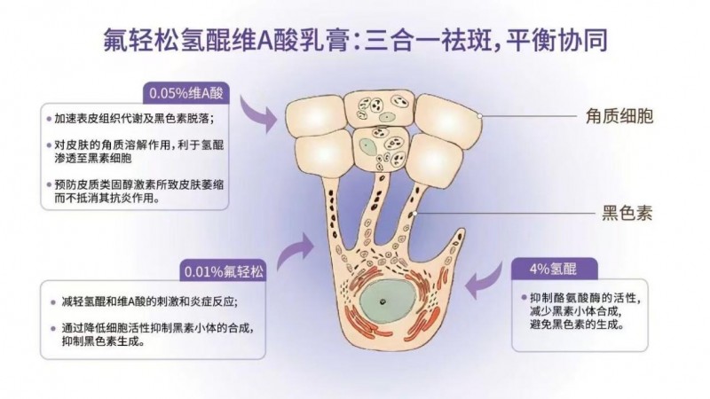 1773222671662062.jpg 18图片1.jpg