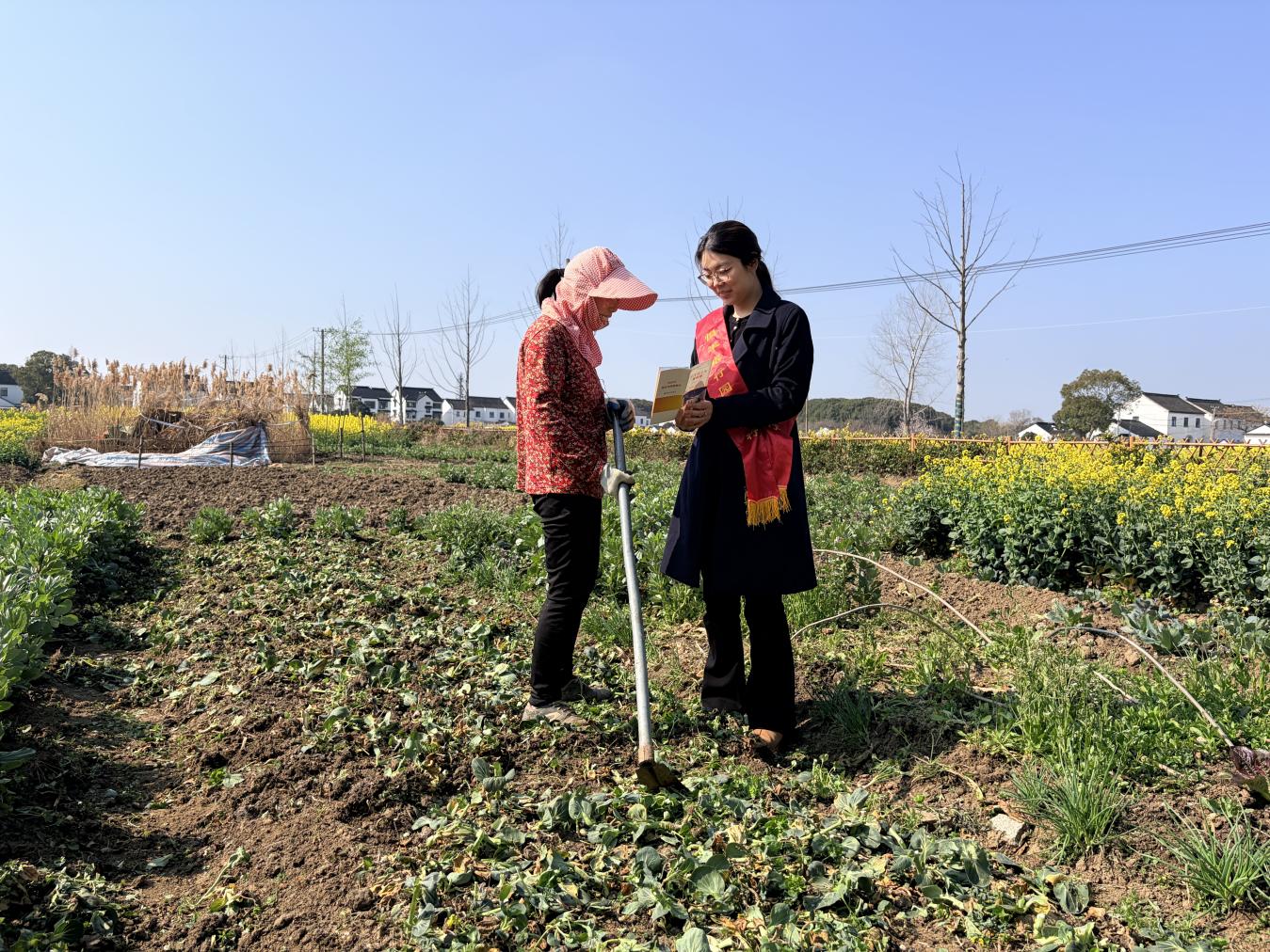 1773299708431000.jpg 46图片1.jpg