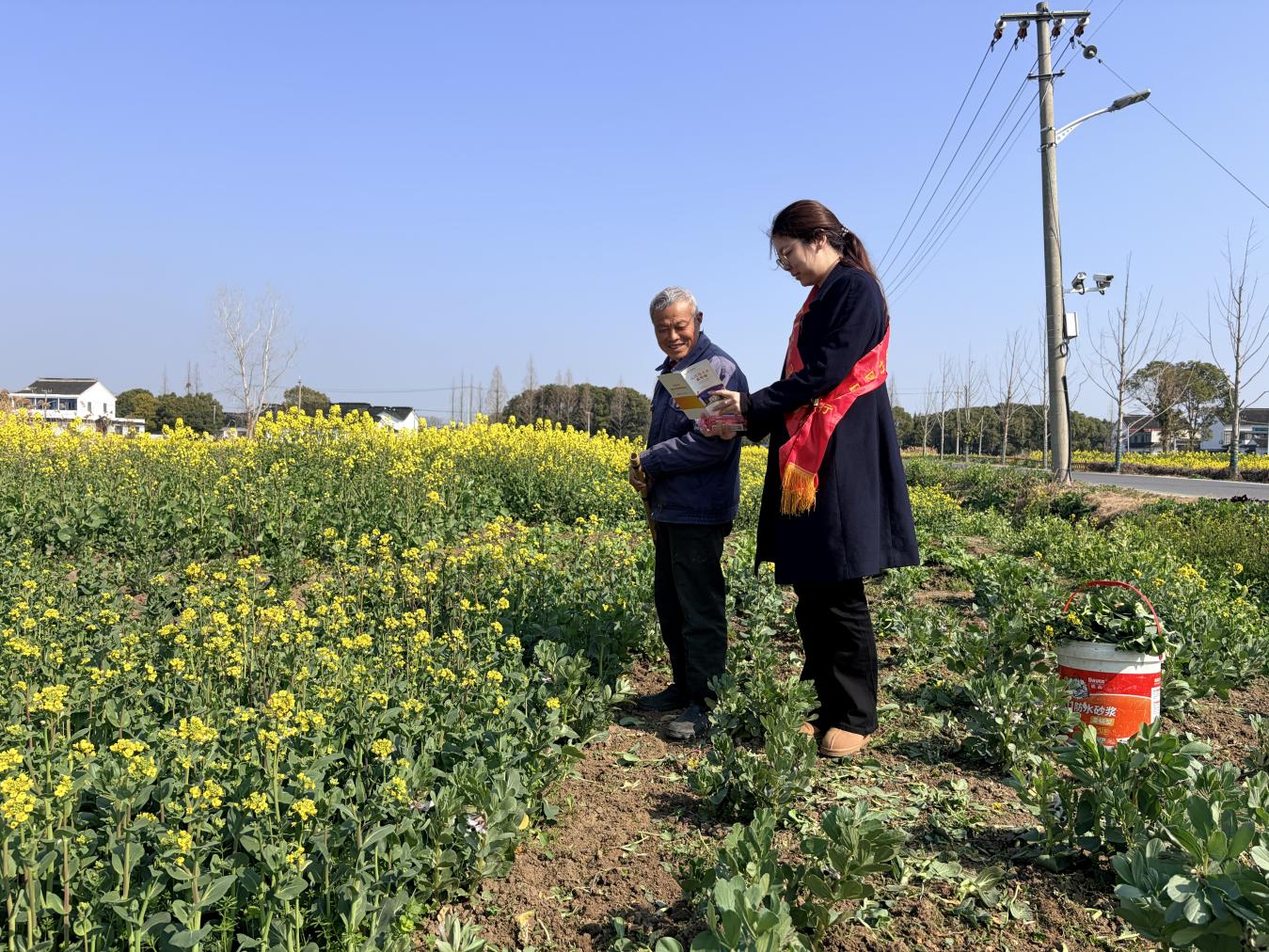 1773299720324437.jpg 47图片1.jpg