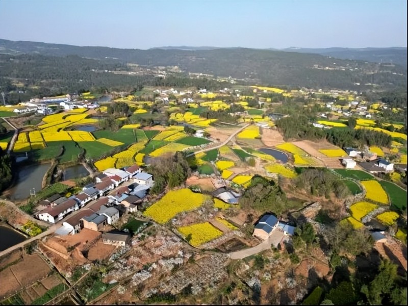 1773736501873856.jpg 图片1.jpg