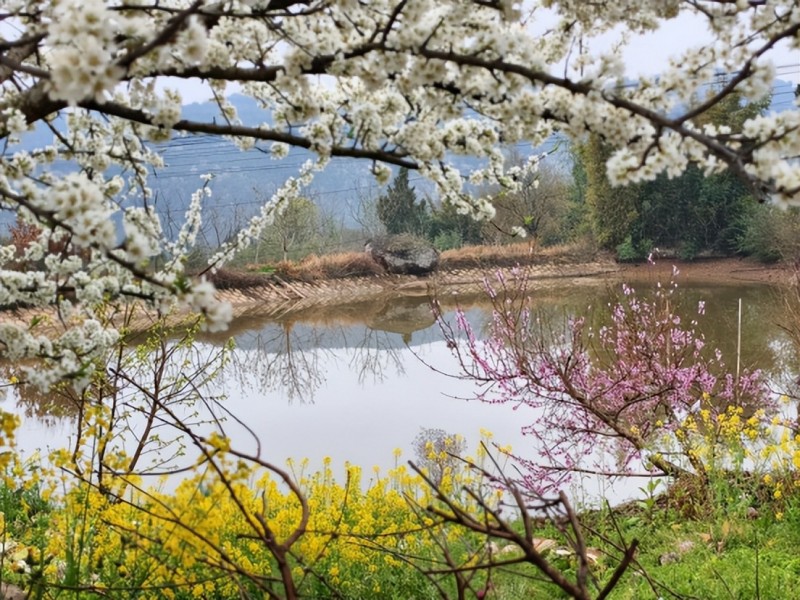 1773736508924222.jpg 图片4.jpg