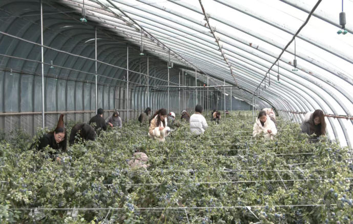 1773815800846668.jpg ScreenShot_2026-03-18_143003_181.jpg