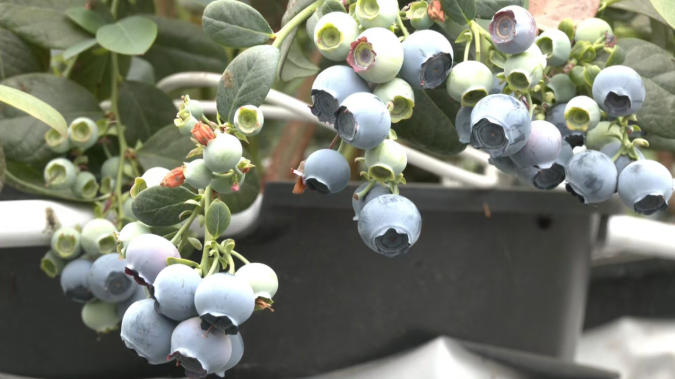 1773815813448613.jpg ScreenShot_2026-03-18_143019_405.jpg