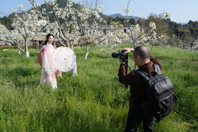 1773906583360299.jpg 图片1.jpg