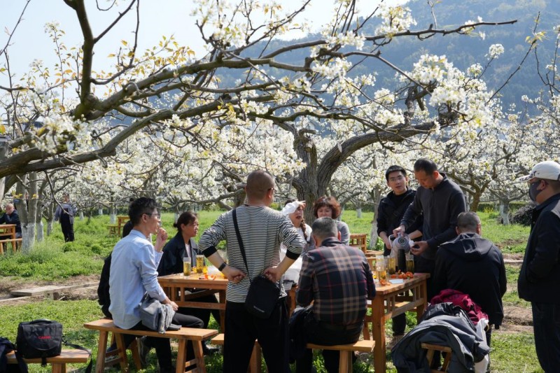 1773906587787848.jpg 图片2.jpg