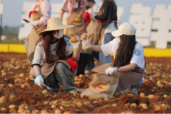 1774503419501983.png 3f2b6674-6410-4a44-a03e-c62244f4361b.png