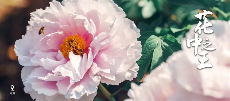 1774505286646262.jpg 图片1.jpg