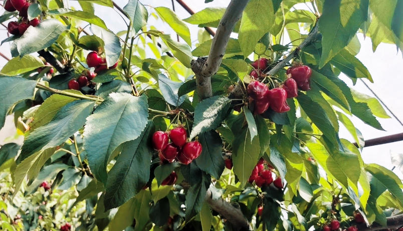 1774590501240837.jpg ScreenShot_2026-03-27_134305_146.jpg