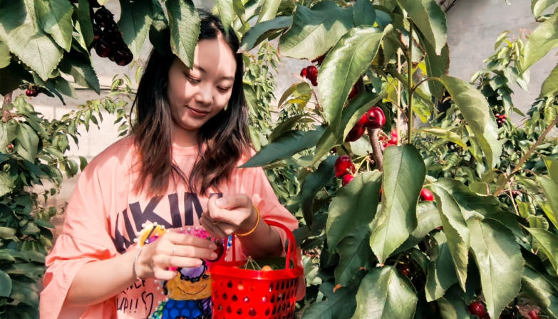 1774590507201367.jpg ScreenShot_2026-03-27_134315_379.jpg