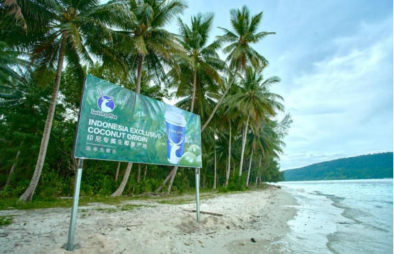 1774853223985449.jpg 3.jpg