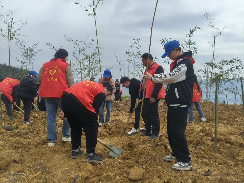 1775025644700567.jpg 图片4.jpg