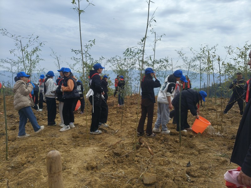 1775025648827252.jpg 图片5.jpg