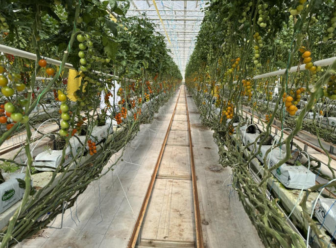 1775029031609206.jpg ScreenShot_2026-04-01_153654_863.jpg