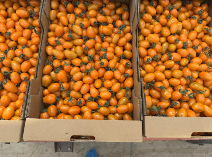 1775029036904737.jpg ScreenShot_2026-04-01_153701_608.jpg