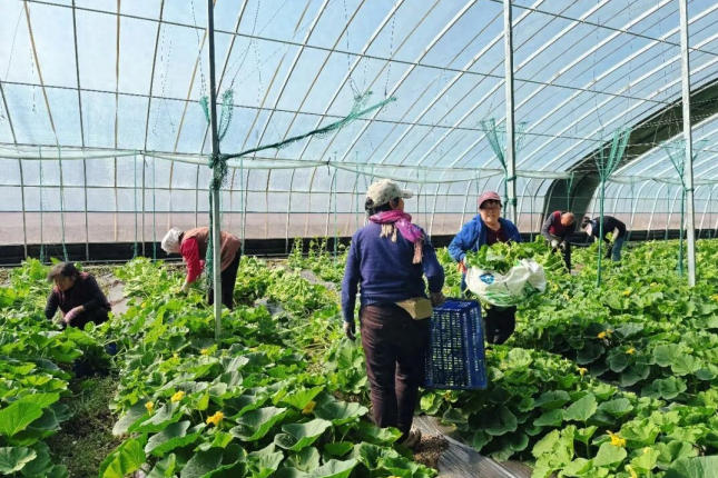 1775029367916772.jpg ScreenShot_2026-04-01_154124_782.jpg