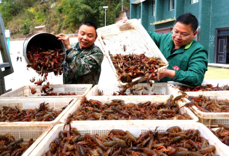 1775110206732867.jpg 4.jpg