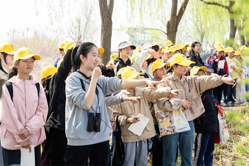 1775207186318830.jpg 图片2.jpg