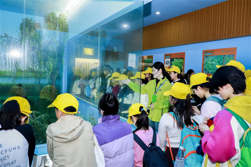 1775207192178908.jpg 图片3.jpg