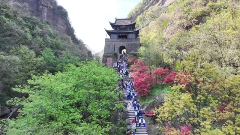 1775530320912878.jpg 图片1.jpg