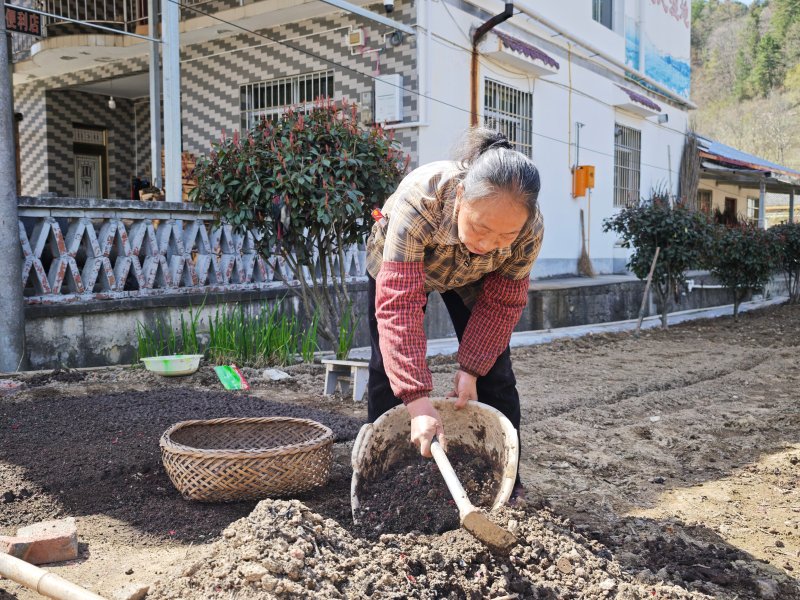 1775544106974413.jpg 图片1.jpg