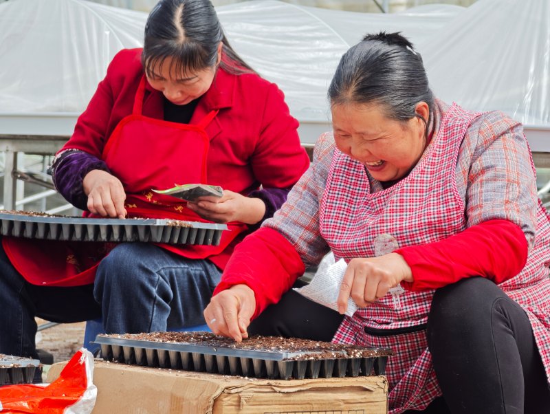 1775544110963029.jpg 图片2.jpg